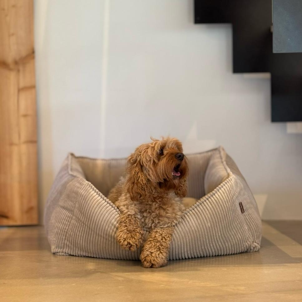Carl Hundekurv Beige   Bred Fløjl Large