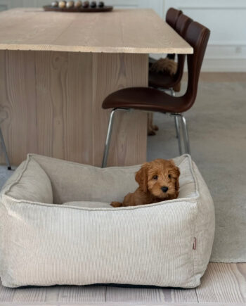 Carl Hundekurv Beige   Smal Fløjl