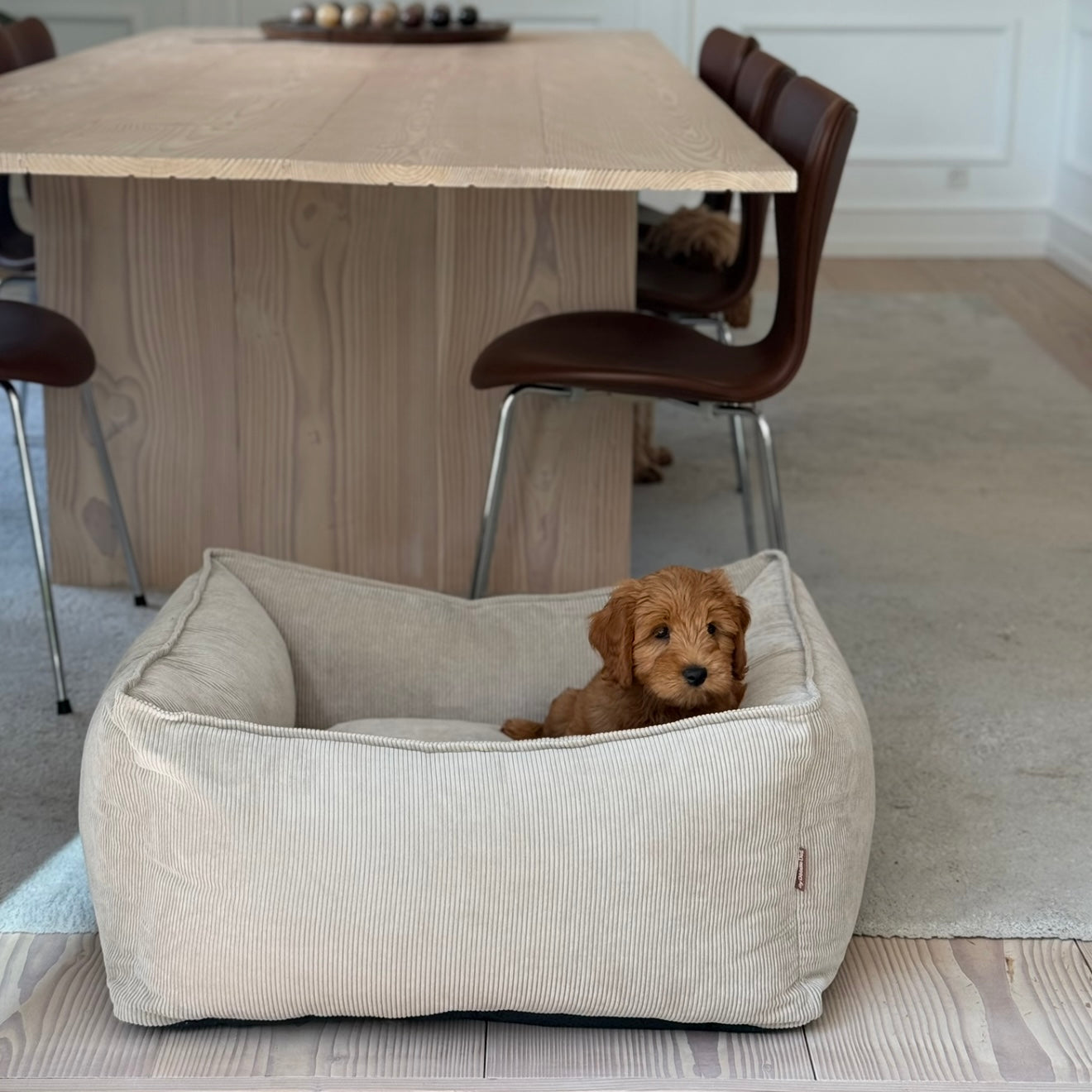 Carl Hundekurv Beige Smal Fløjl
