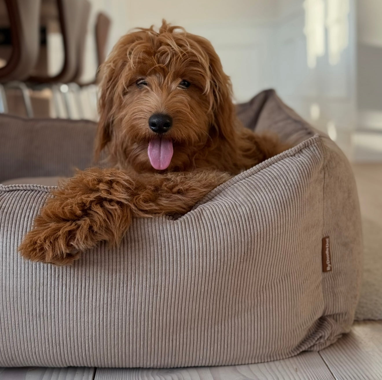 Lys Brun Fløjl Hundekurv – Komfort og Stil til Din Hund