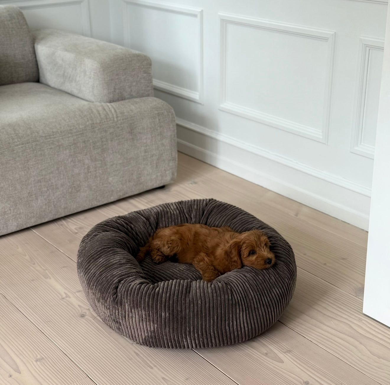 Luksuriøs hundeseng i mørk brun fløjl til afslapning