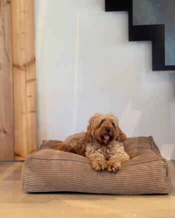Frede Hundekurv i Lys Brun – Komfort til Din Hund