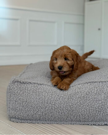 Frede Hundekurven   Sherpa Fleece