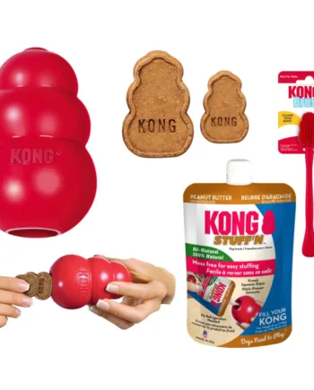 Kong Classic Samlepakke Med Fyld Og Børste