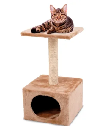 Kradsetræ Sassière Til Katte 55 Cm Med Hule Og Platform