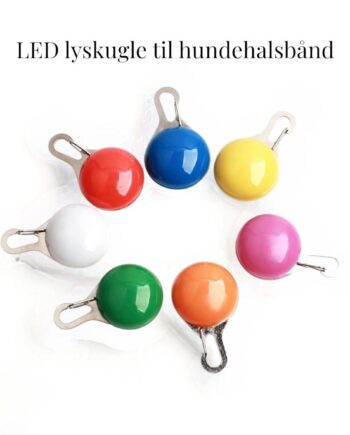 LED Lyskugle til Hundehalsbånd – Blå Sikkerhedslampe