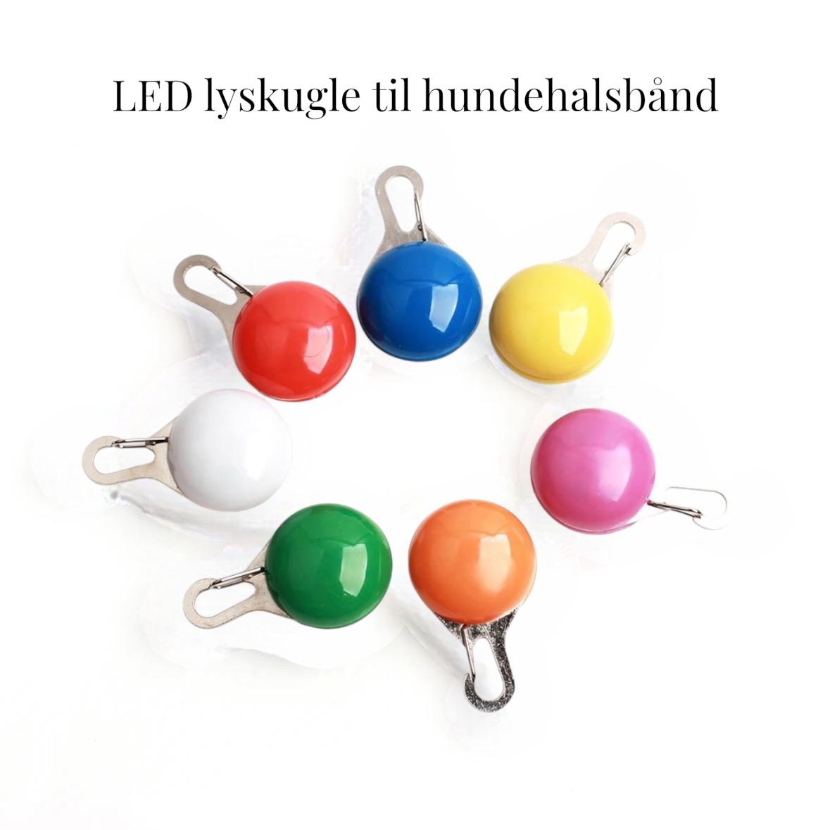 LED Lyskugle til Hundehalsbånd – Blå Sikkerhedslampe