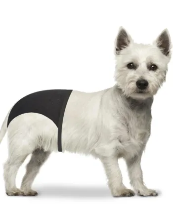Løbetidsbukser Til Hund