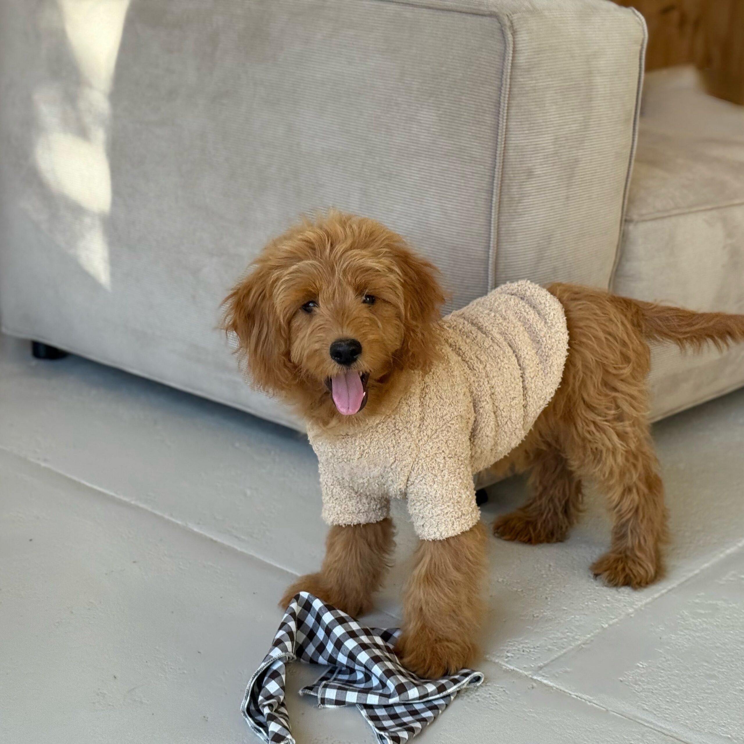 Lun Plysfleece Trøje til Hunde – Vinterens Must-Have!