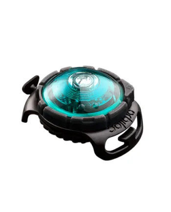 Orbiloc Dog Dual Turquoise