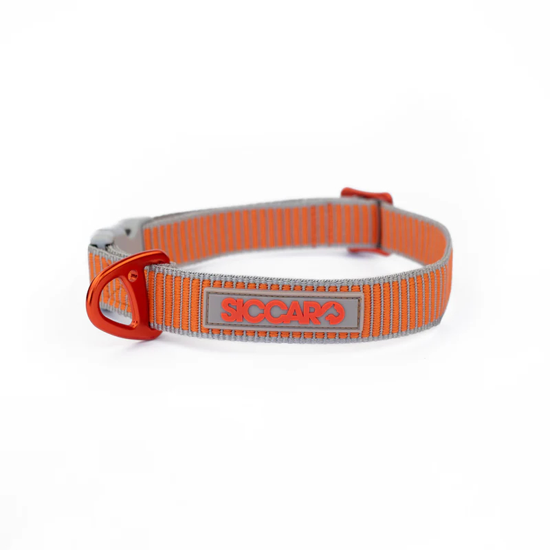 Siccaro Sealines Dog Collars