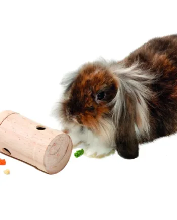 Snack Roll Rody Foderaktivering Til Kaniner Gnavere