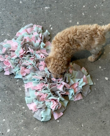 Stimulerende Snusemåtte til Hunde – Aktiver Sanserne!