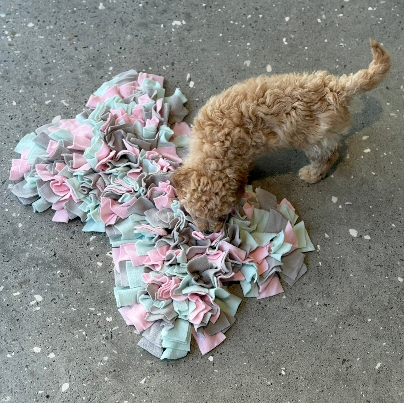 Stimulerende Snusemåtte til Hunde – Aktiver Sanserne!