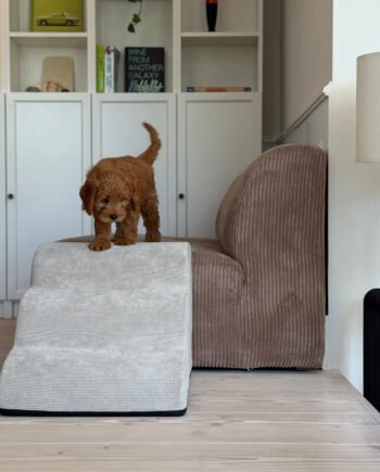 Trappe    Aftageligt Betræk   Beige 55 Cm