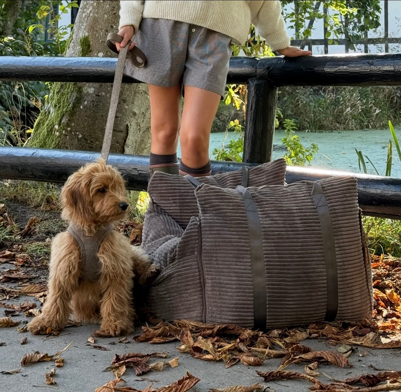Bjørk Bilsæde til Hunde – Mørk Brun Tilbud på Komfort!